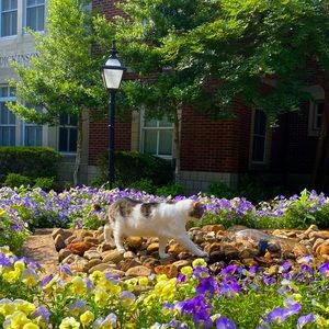 15% Off Bundles of 2 or more items